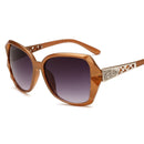 Women's Big Frame Sunglasses