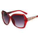 Women's Big Frame Sunglasses