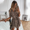 Casual Leopard Print V Neck A Line Dress